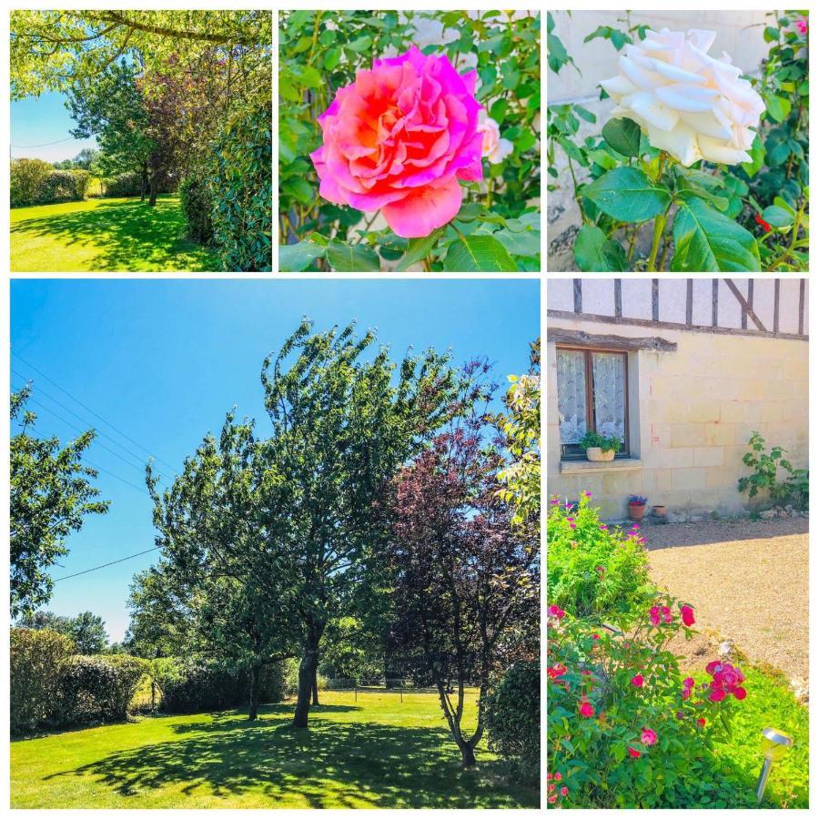 Hotel La Grange Aux Moines Berthenay Esterno foto